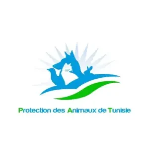 protection des Animaux de Tunisie Nourrir, Soigner Et Stériliser Les Chats Et Chiens